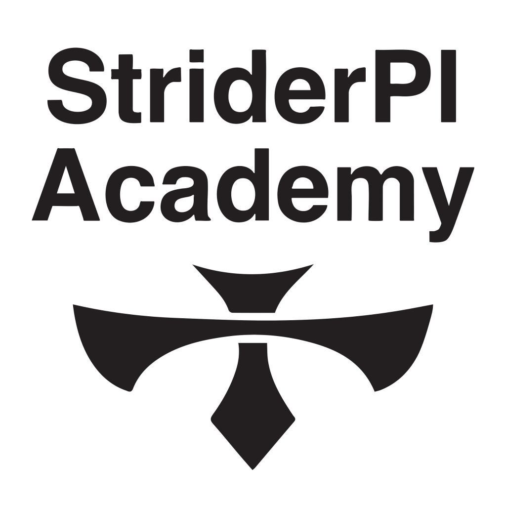 stridder PI Academy logo